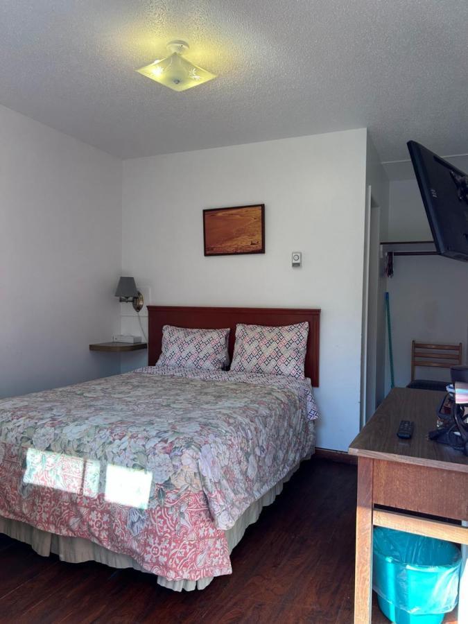 Dolphin Motel Tofino Buitenkant foto