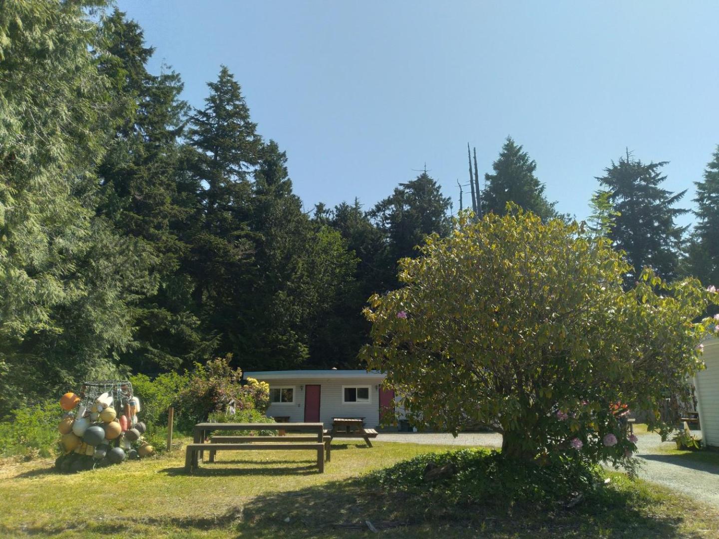 Dolphin Motel Tofino Buitenkant foto